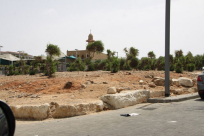 يافا: مخاوف من إقدام دائرة أراضي اسرائيل من بيع آخر قطعة أرض في حي الجبلية 